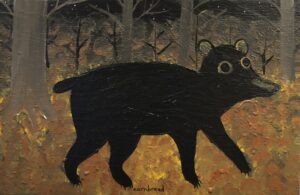 Midnight Black Bear