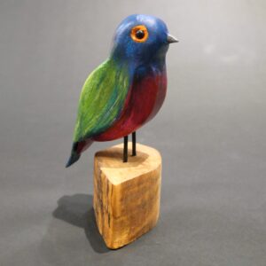 Jack Klippel, Painted Bunting